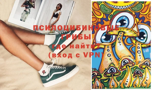 мет Новозыбков
