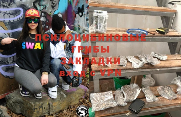 тгк Володарск