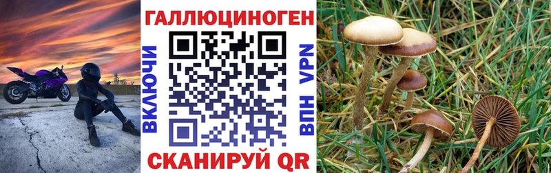 Псилоцибиновые грибы ЛСД Верхотурье